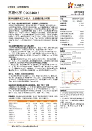 高弹性建筑化工小巨人，业绩增长潜力可期