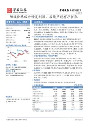 阳极价格回升修复利润，后续产能有序扩张
