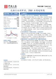 光储行业领军者，25Q1业绩超预期