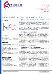 迈瑞医疗点评报告:海外高速增长,看好国内全年复苏