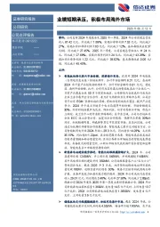 业绩短期承压,积极布局海外市场