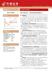海外业务向好，活性氧化镁开辟新增长点
