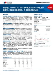 2024年年报及2025年一季报点评：输变电、能源业务稳步推进，多晶硅板块盈利承压
