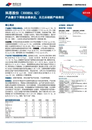 产品量价下滑致业绩承压,关注后续新产线表现