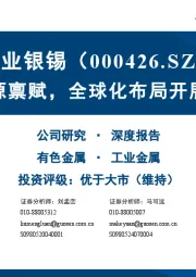 立足资源禀赋，全球化布局开展新篇章
