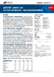2024年收入同比基本持平,信息化类业务迎来回暖机遇
