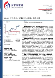 2025Q1实现盈利，25H2关注AML、SLE数据