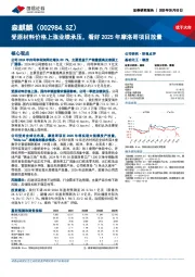 受原材料价格上涨业绩承压，看好2025年摩洛哥项目放量