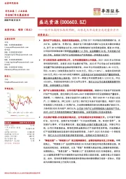短中长期增长路线明晰,白银龙头布局黄金或迎量价齐升