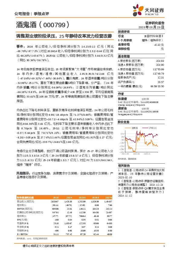 调整期业绩阶段承压，25年静待改革发力经营改善