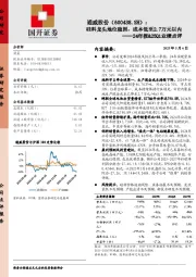 24年报&25Q1业绩点评：硅料龙头地位稳固，成本低至2.7万元以内