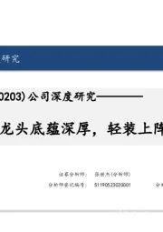 公司深度研究：行业龙头底蕴深厚，轻装上阵拐点已至