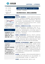 整合资源打造龙头,聚焦主业提质增效