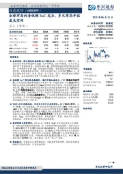 全球布局的音视频SoC龙头，多元布局开拓成长空间