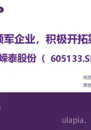 铝合金压铸领军企业，积极开拓第二增长曲线