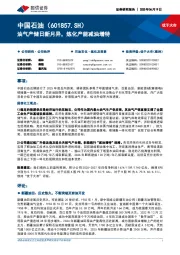 油气产储日新月异，炼化产能减油增特