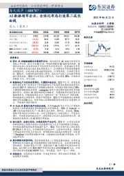 AI数据领军企业，全球化布局打造第二成长曲线