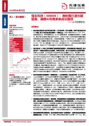 公司深度报告：高制程打造长期壁垒，端侧AI布局多条成长路径