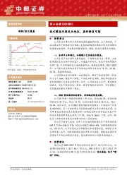 技术壁垒巩固龙头地位，盈利修复可期