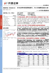 公司首次覆盖报告：充电品牌和渠道势能提升，NAS存储赛道星辰大海