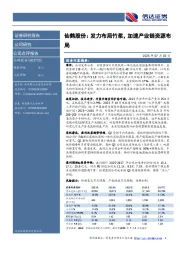 仙鹤股份：发力布局竹浆，加速产业链资源布局