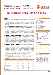 Q2利润维持较快增长,97纯生势能强劲