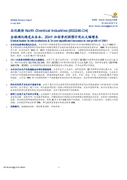 全球硝化棉龙头企业，25H1归母净利润预计同比大幅增长