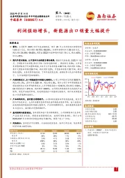 利润强劲增长，新能源出口销量大幅提升