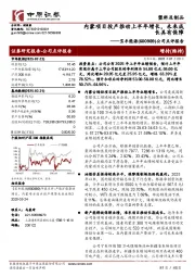 公司点评报告:内蒙项目投产推动上半年增长,未来成长具有保障
