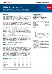 铜矿产量同比增长6%，下半年冶炼业务有望扭亏