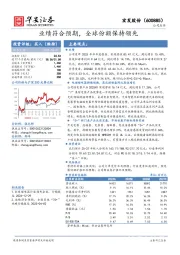 业绩符合预期，全球份额保持领先
