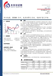 四川成渝，2025Q1点评，成本控费已见效，成雅扩容已中标