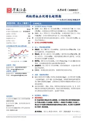 九号公司2025Q2财报点评：两轮滑板共促增长超预期