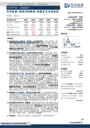 光伏配套+制造双轮驱动，拓展多元业务板块