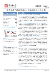 鸡苗价格下跌拖累盈利，种猪销售步入释放期