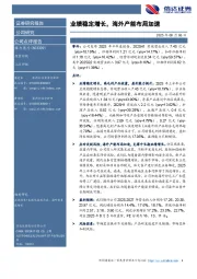 业绩稳定增长，海外产能布局加速