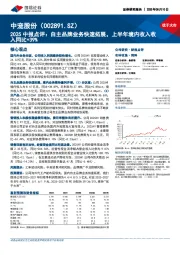 2025中报点评：自主品牌业务快速拓展，上半年境内收入收入同比+39%