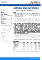 首次覆盖报告：从规模到盈利，铜加工龙头开启创新增长