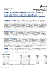 国内湿电子化学品龙头,在建项目为公司发展奠定基础
