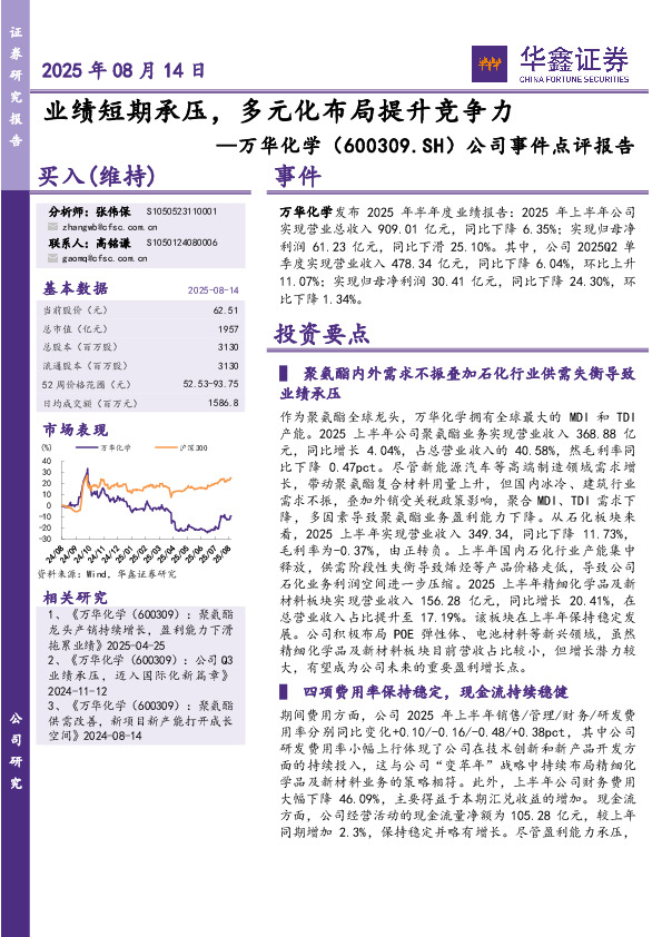 公司事件点评报告：业绩短期承压，多元化布局提升竞争力