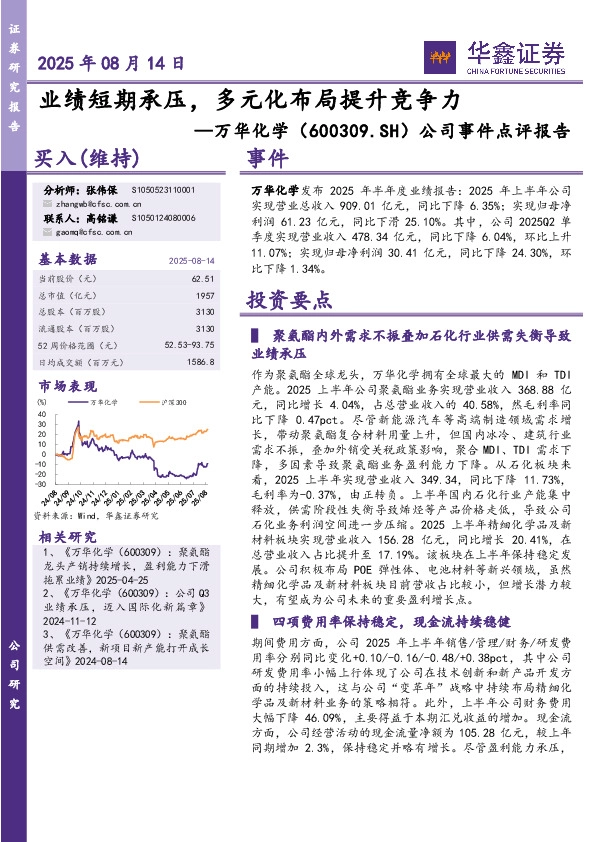 公司事件点评报告：业绩短期承压，多元化布局提升竞争力