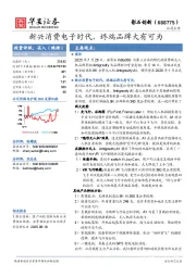 新兴消费电子时代，终端品牌大有可为