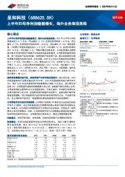 上半年归母净利润稳健增长，海外业务表现亮眼