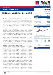 业绩稳健向好，加码新型肥料，深化一体化布局