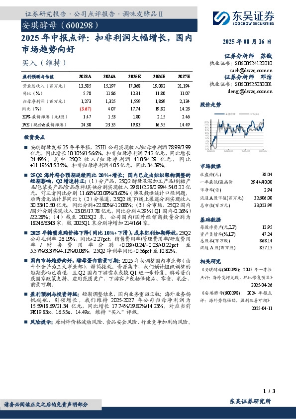 2025年中报点评：扣非利润大幅增长，国内市场趋势向好