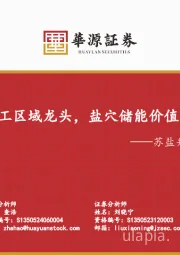 优质盐化工区域龙头，盐穴储能价值或显著低估