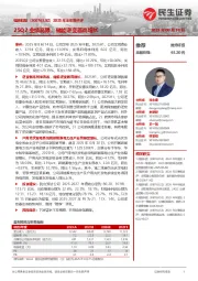 2025年半年报点评:25Q2业绩亮眼,储能逆变器高增长