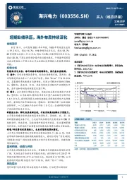 短期业绩承压,海外布局持续深化