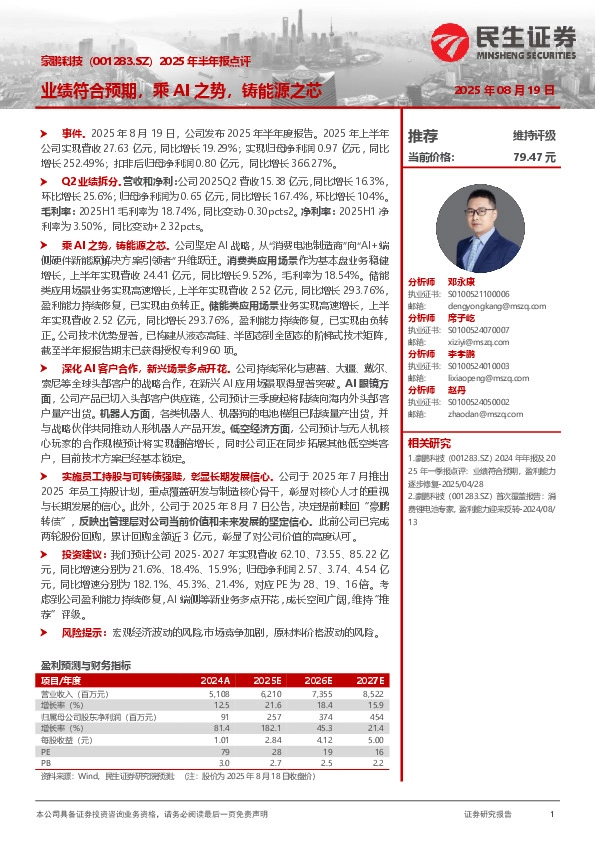 2025年半年报点评：业绩符合预期，乘AI之势，铸能源之芯