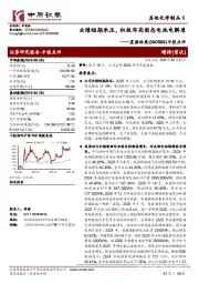 中报点评：业绩短期承压，积极布局固态电池电解质